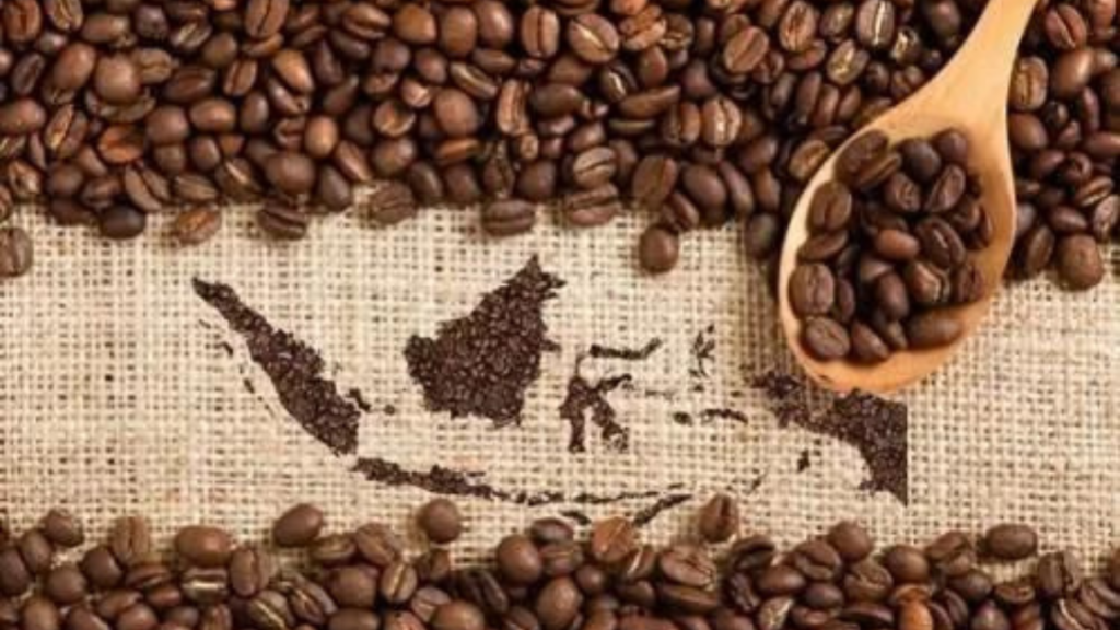 5 Jenis Kopi Nusantara Beserta Karakteristiknya